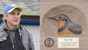 Pyle PIF award photo
